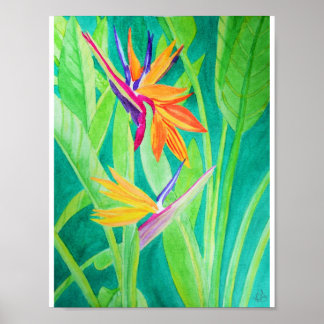 Watercolor Bird of Paradise Flowers Poster