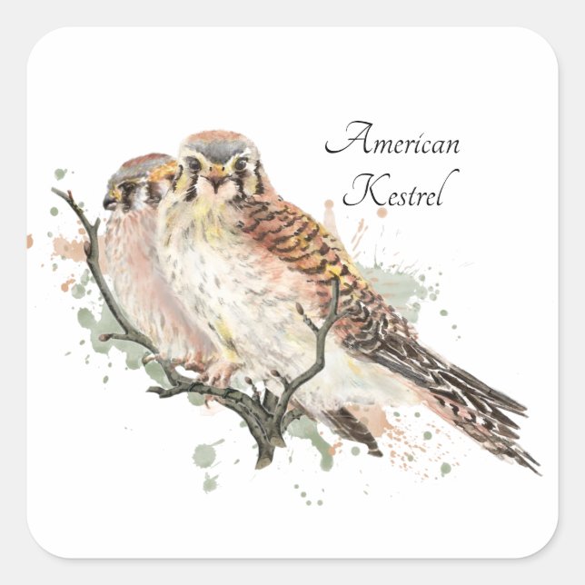 Watercolor Birding Kestrel Couple Square Sticker (Front)