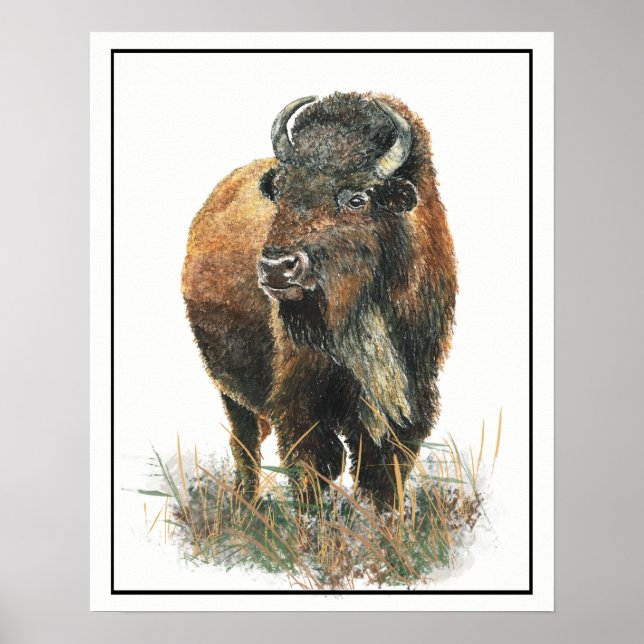 Watercolor Bison Buffalo Animal Nature art Poster (Front)