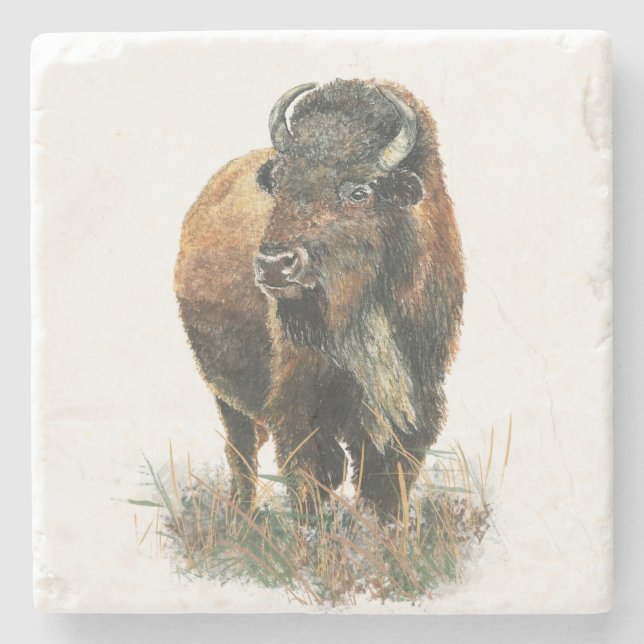 Watercolor Bison Buffalo Animal Nature Art Stone Coaster (Front)