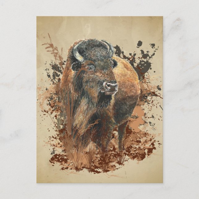 Watercolor Bison Buffalo Animal Wildlife Nature Wo Postcard (Front)