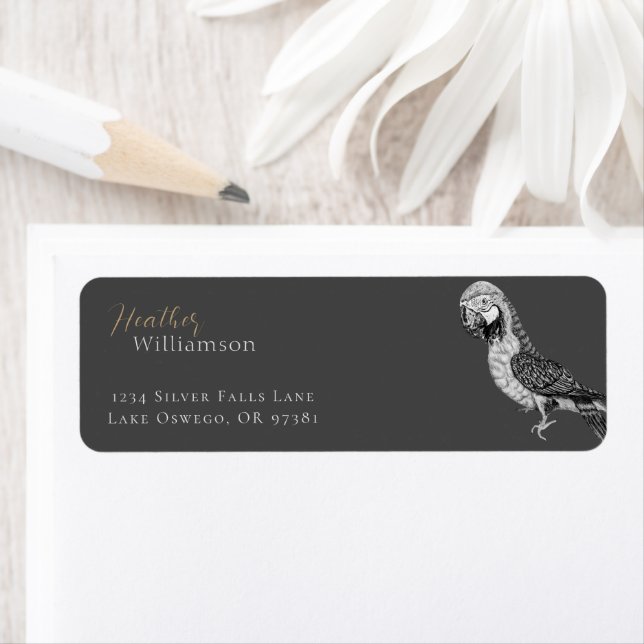 Watercolor Black and White Macaw Parrot (Insitu)