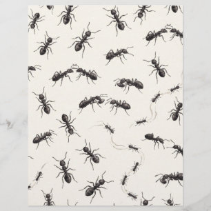 Watercolor Black Ants Entomology Scrapbook Paper