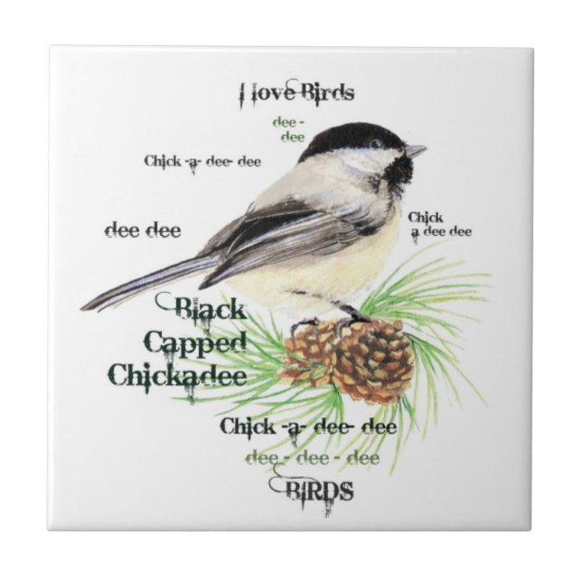Watercolor Black Capped Chickadee Bird Art Tile (Front)