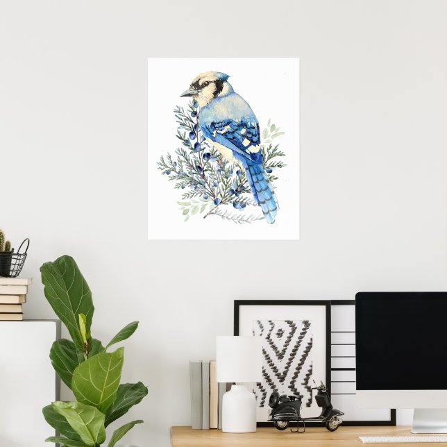 Watercolor Blue Jay Bird Blueberries Country Art Poster (Home Office)