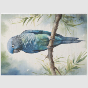 Watercolor Blue Parakeet Eucalyptus Decoupage Tissue Paper