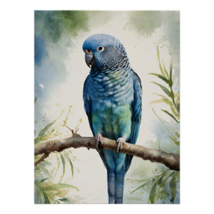 Watercolor Blue Parakeet Eucalyptus Tree Poster