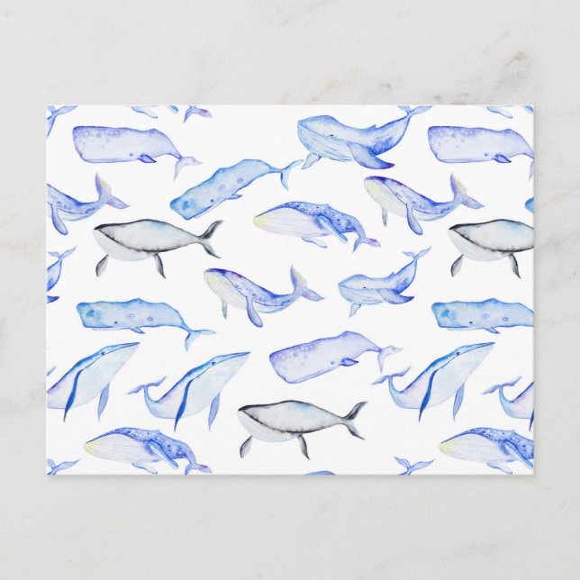 Watercolor Blue Whale Pattern Postcard (Front)