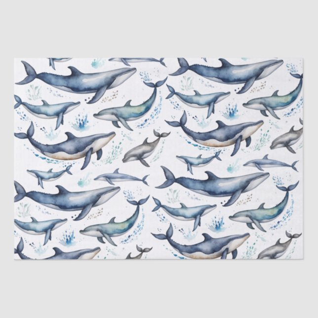 Watercolor Blue Whales and dolphins , sea animal   Tissue Paper (Front)