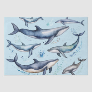 Watercolor Blue Whales and dolphins , sea animal   Tissue Paper