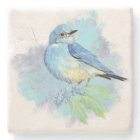 Watercolor Bluebird Garden Bird Art