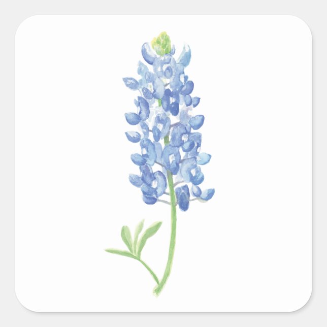 Watercolor Bluebonnet Flower Square Sticker (Front)