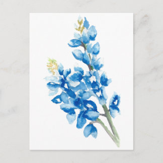 Watercolor Bluebonnets Postcard