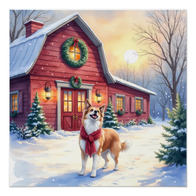 Watercolor Border Collie Country Barn Christmas Poster (Front)