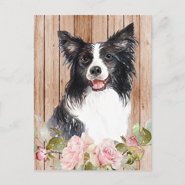 Watercolor Border Collie & Flowers Postcard (Front)