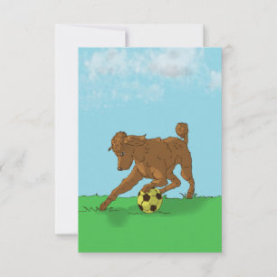 Watercolor Brown Poodle with Soccer Ball Note Card