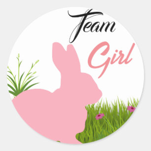 Watercolor Bunny Easter Team Girl Gender reveal Classic Round Sticker
