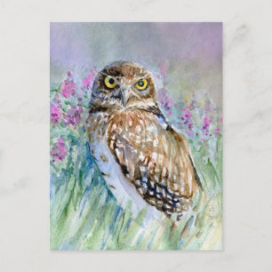 Watercolor Burrowing owl Postcard