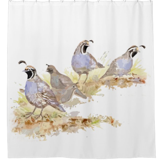 Watercolor California Quail Bird Nature Art Shower Curtain (Front)