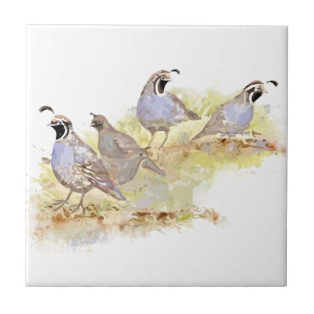 Watercolor California Quail Bird Nature Art Tile (Front)