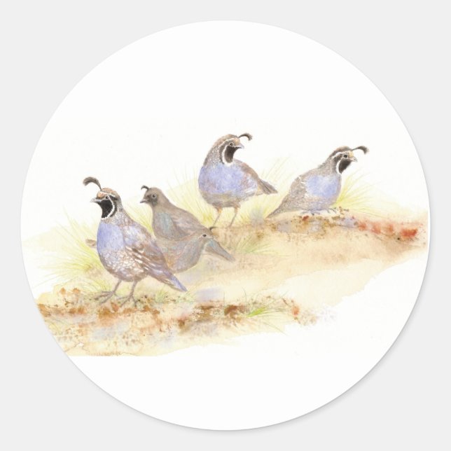  Watercolor California Quail Classic Round Sticker (Front)