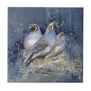 Watercolor California Quail Wildlife Bird Tile