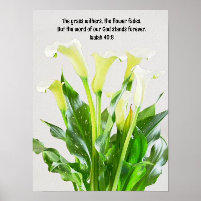Watercolor Calla Lily Flowers Bible Verse Art Poster (Front)