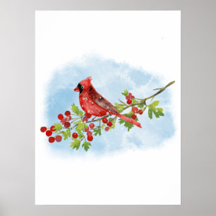 Watercolor Cardinal Bird on Berry Branch Poster