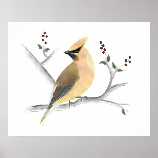 Watercolor Cedar Waxwing Poster Print (Front)