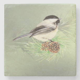 Watercolor Chickadee in Pine Tree Bird Nature aRt Stone Coaster