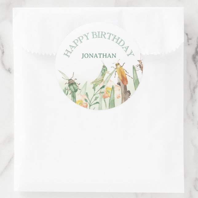 Watercolor Child's Bug Insect Birthday Classic Round Sticker (Bag)