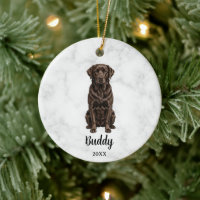 Watercolor Chocolate Lab Dog Name Pet Memorial
