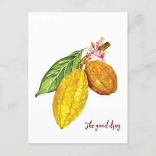 Watercolor chocolate tree fruit postcard