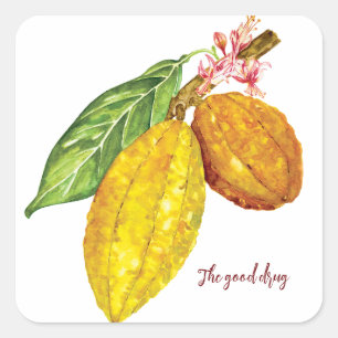 Watercolor chocolate tree fruit square sticker