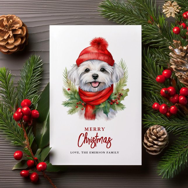 Watercolor Christmas Maltese Dog Holiday Card (Creator Uploaded)