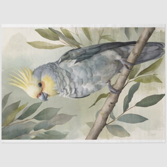 Watercolor Cockatiel Eucalyptus Tree Decoupage Tissue Paper (Front)
