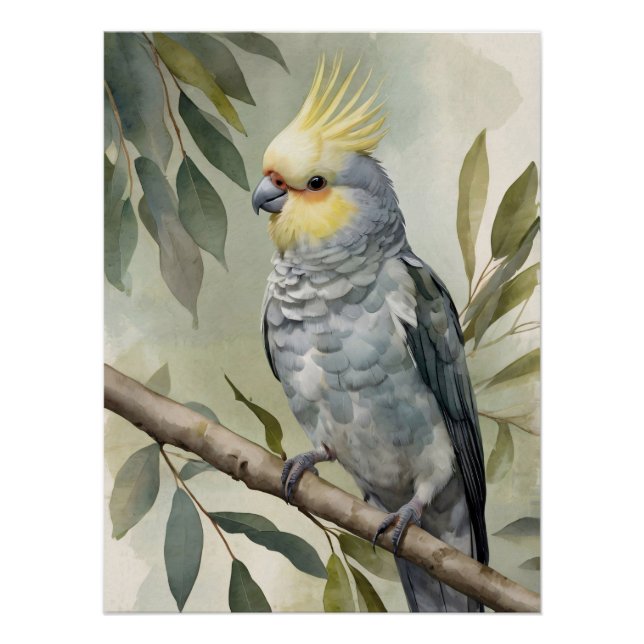 Watercolor Cockatiel Eucalyptus Tree Poster (Front)