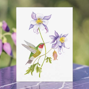 Watercolor Columbine with Hummingbird Postcard