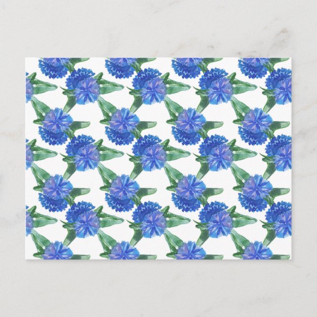 watercolor cornflowers postcard (Front)