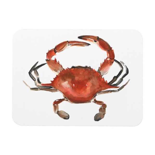 Watercolor Crab - Red Magnet (Horizontal)