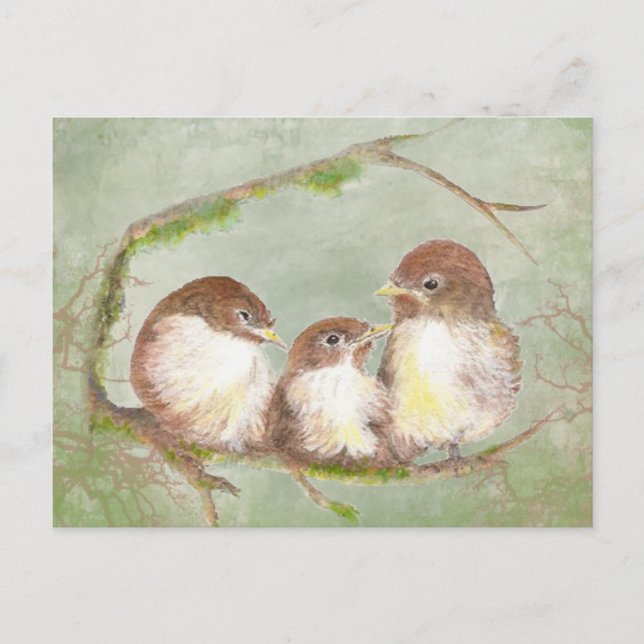 Watercolor Cuddling Sparrow Bird Family Nature Postcard (Front)