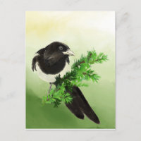 Watercolor Curious Magpie Garden Bird Wildife Art