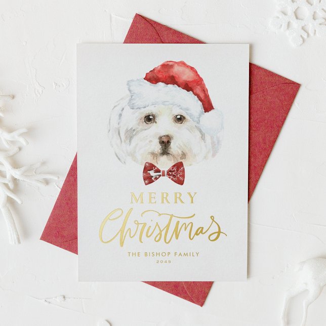 Watercolor Cute Maltese Santa Merry Christmas (Creator Uploaded)