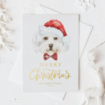Watercolor Cute Maltese Santa Merry Christmas Foil Holiday Postcard<br><div class="desc">Merry Christmas! Send your holiday wishes to family and friends with this customisable Christmas postcard. It features a watercolor Maltese dog wearing a Santa hat. Personalise this gold foil Christmas postcard by adding your details. This Maltese dog Christmas card is available on other cardstock. Matching items are available.</div>