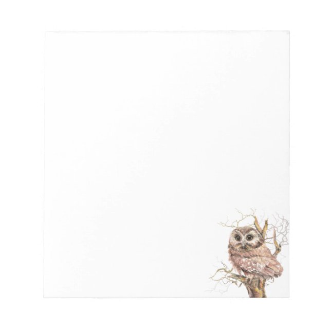 Watercolor Cute Saw Whet Owl, Bird Notepad (Front)