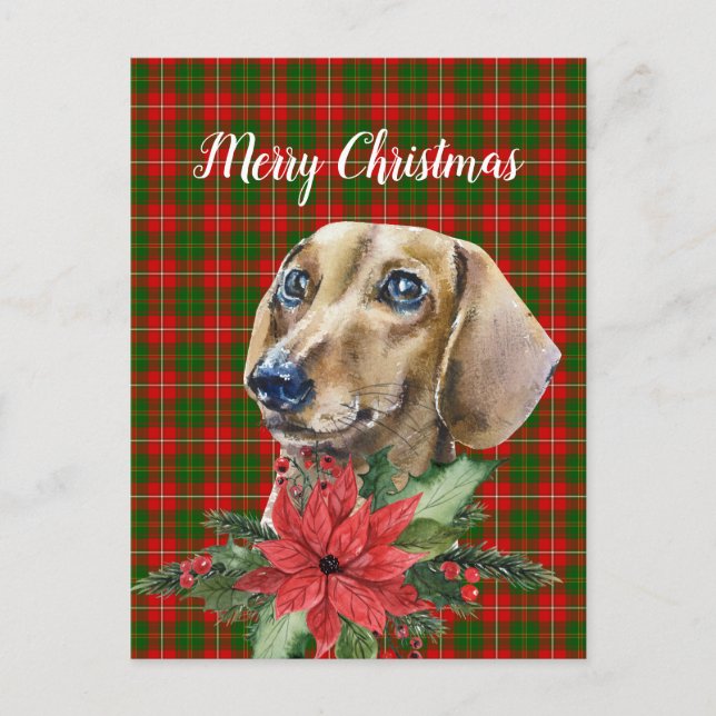 Watercolor Dachshund Dog Christmas Postcard (Front)