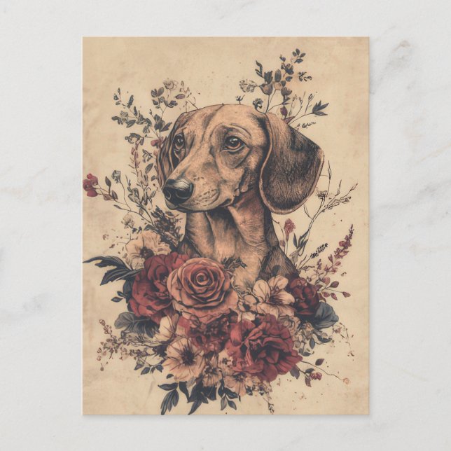 Watercolor Dachshund Postcard  (Front)