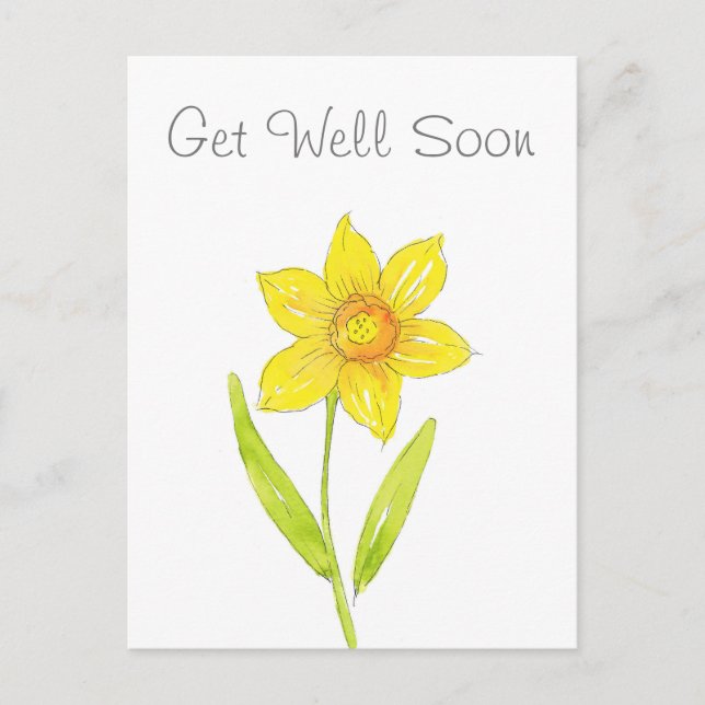 Watercolor Daffodil 2 Postcard (Front)