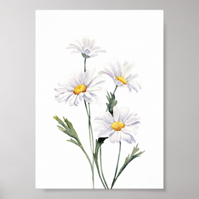 Watercolor Daisies  Poster (Front)
