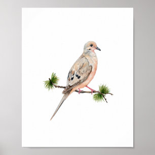 Watercolor Dove Bird Painting Poster